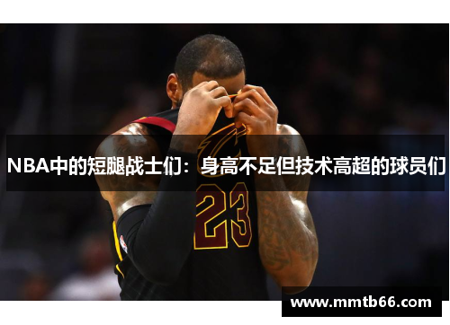 NBA中的短腿战士们：身高不足但技术高超的球员们